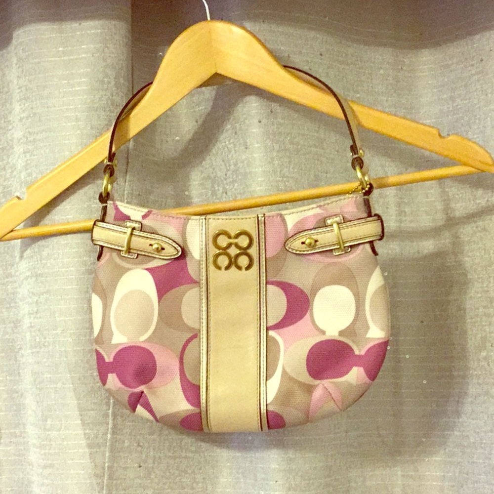 Small coach purse